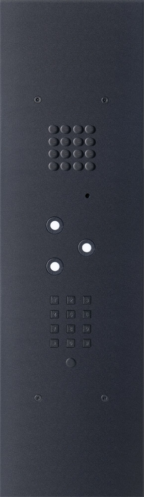 Wizard Bronze Black 3 buttons large model keypad and b/w cam